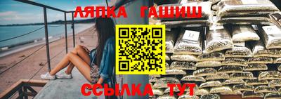 стаф Камышлов