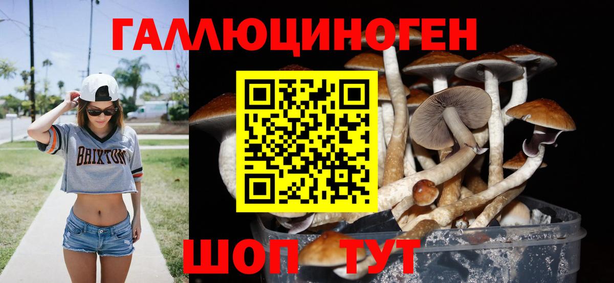 Кумертау  Псилоцибиновые грибы Psilocybe  Вход с VPN 